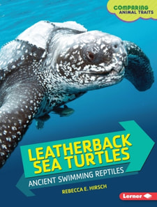 Leatherback Sea Turtles