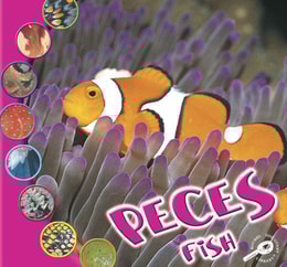 Peces
