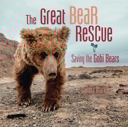 Great Bear Rescue