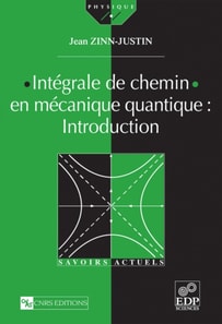 Intégrale de chemin en mécanique quantique : Introduction