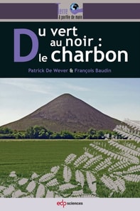 Du vert au noir : le charbon