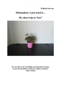 Minimalism: I just tried it…