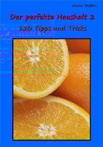 Der perfekte Haushalt 2