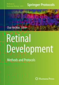 Retinal Development