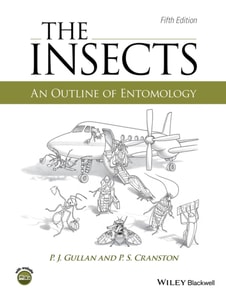 Insects