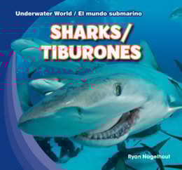 Sharks / Tiburones