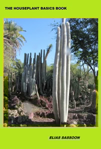 Houseplant Basics Book