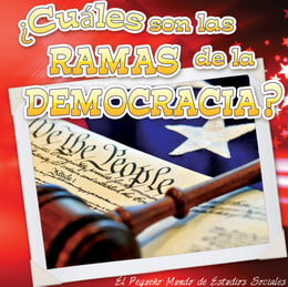  Cuales son las ramas de la democracia?