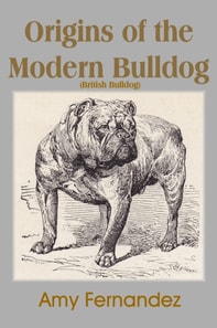 Origins of the Modern Bulldog (British Bulldog)