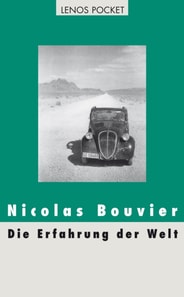 Die Erfahrung der Welt