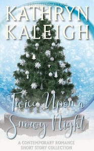 Twice Upon a Snowy Night: Contemporary Romance Short Story Collection