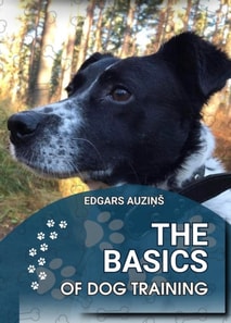 Basics of dog training