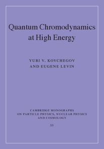 Quantum Chromodynamics at High Energy