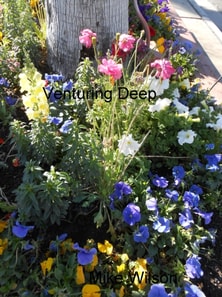 Venturing Deep: Four Tales