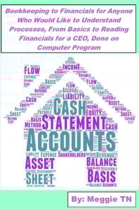 Bookkeeping to Financials for Anyone Who Would Like to Understand Processes, From Basics to Reading Financials for a CEO Done on Computer Program