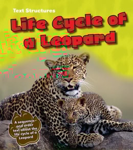 Life Cycle of a Leopard