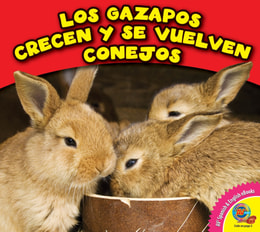Los gazapos crecen y se vuelven conejos