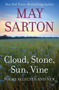 Cloud, Stone, Sun, Vine