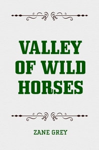 Valley of Wild Horses