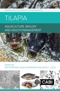 Tilapia