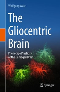 Gliocentric Brain