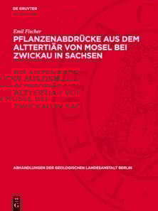 Pflanzenabdrücke aus dem Alttertiär von Mosel bei Zwickau in Sachsen