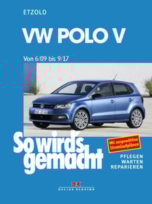 VW Polo ab 6/09
