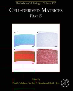 Cell-Derived Matrices Part B