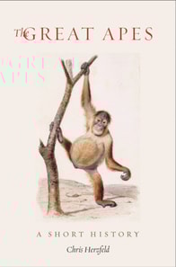 Great Apes