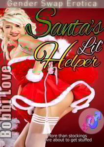 Santa's Lil' Helper