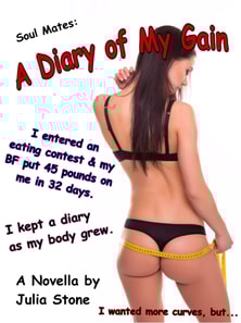 Soul Mates: A Diary of My Gain