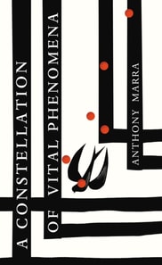 Constellation of Vital Phenomena