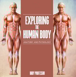 Exploring the Human Body | Anatomy and Physiology