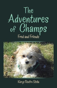 Adventures of Champs
