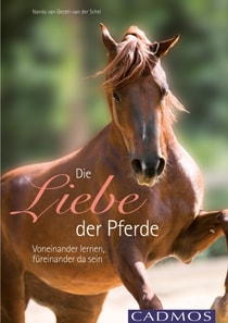 Die Liebe der Pferde