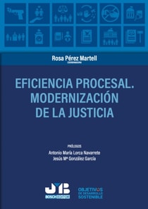 Eficiencia procesal.