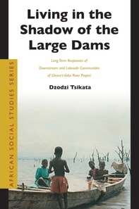 Living in the Shadow of the Large Dams