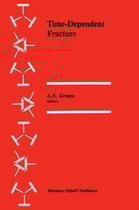 Time-Dependent Fracture