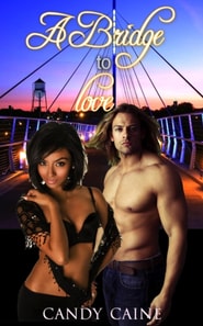 Bridge to Love