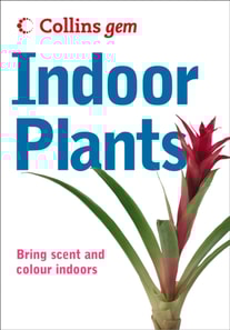 Indoor Plants