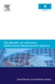 benefits of e-business performance measurement systems