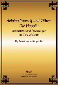 Helping Yourself and Others Die Happily: Instructions and Practices for the Time of Death Ebook