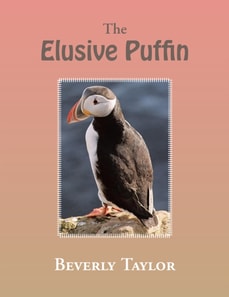 Elusive Puffin