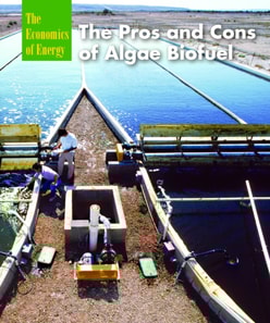 Pros and Cons of Algae Biofuel