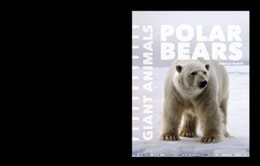 Polar Bears