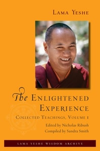 Enlightened Experience: Collected Teachings, Volume 1