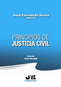 Principios de Justicia Civil