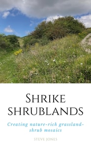 Shrike Shrublands