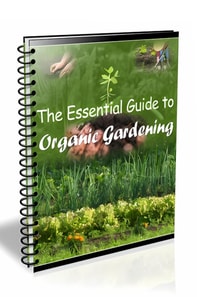 Essential Guide to Organic Gardening
