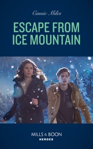 Escape From Ice Mountain